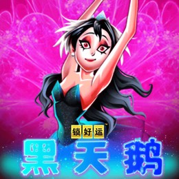 黑天鹅 锁好运