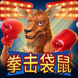 拳击袋鼠