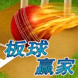 板球赢家