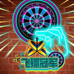 飞镖冠军