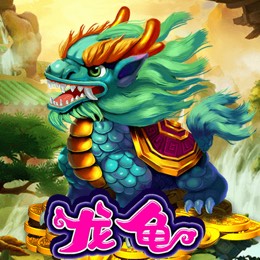 龙龟