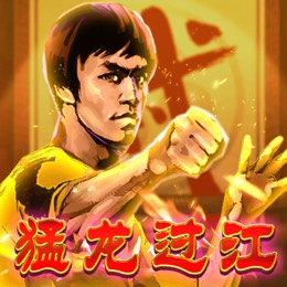 猛龙过江