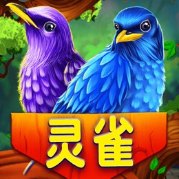 灵雀
