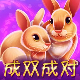 成双成对