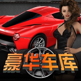 豪华车库