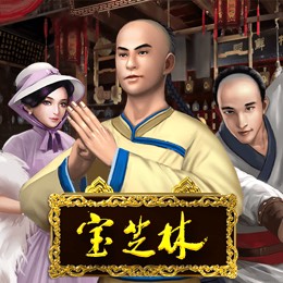 宝芝林