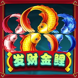 发财金鲤