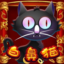 白鼻猫