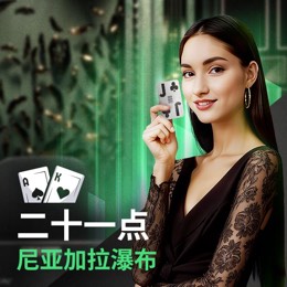 尼亚加拉瀑布二十一点