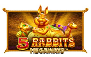 5金兔