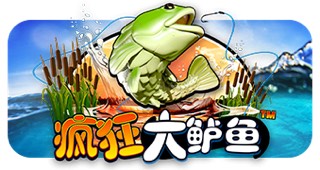 疯狂大鲈鱼