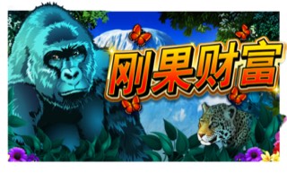 刚果财富
