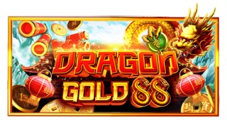 金龙88