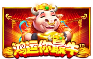 鸿运你最牛