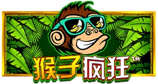 猴子疯狂