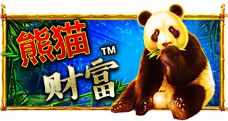 熊猫的财富
