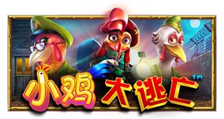 小鸡大逃亡