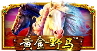 黄金野马