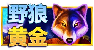 野狼黄金